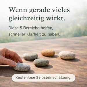 Grafik von Zenioren mit fünf naturbelassenen Steinen auf hellem Holztisch, eine Hand setzt einen Stein an seinen Platz, dazu der Text: „Wenn gerade vieles gleichzeitig wirkt. Diese 5 Bereiche helfen, schneller Klarheit zu haben. Kostenlose Selbsteinschätzung.“