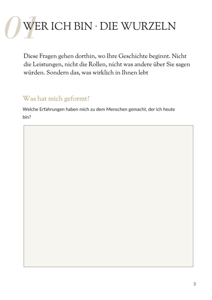 Einblick in den Wegweiser Stein "Meine Geschichte. Meine Steine. Mein Wille". Stein 1 Die Wurzel. Ein Zenioren-Wegweiser für Menschen im Älterwerden