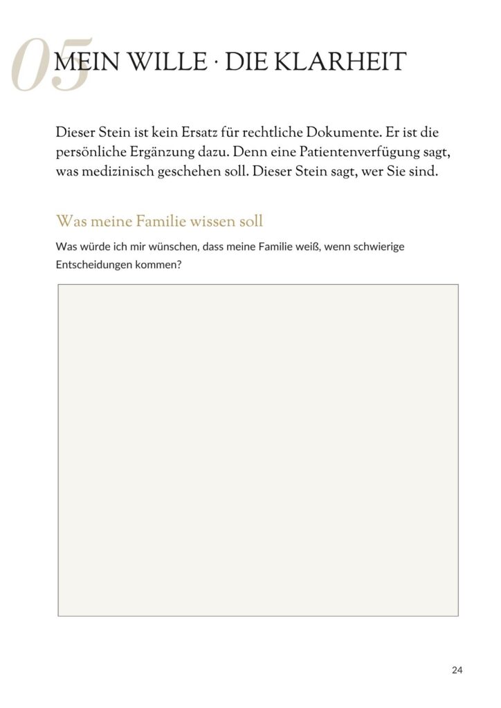 Einblick in den Stein: Meine Geschichte. Meine Steine. Mein Wille. Ein Zenioren-Wegweiser für Menschen die sich selbst wichtig sind.