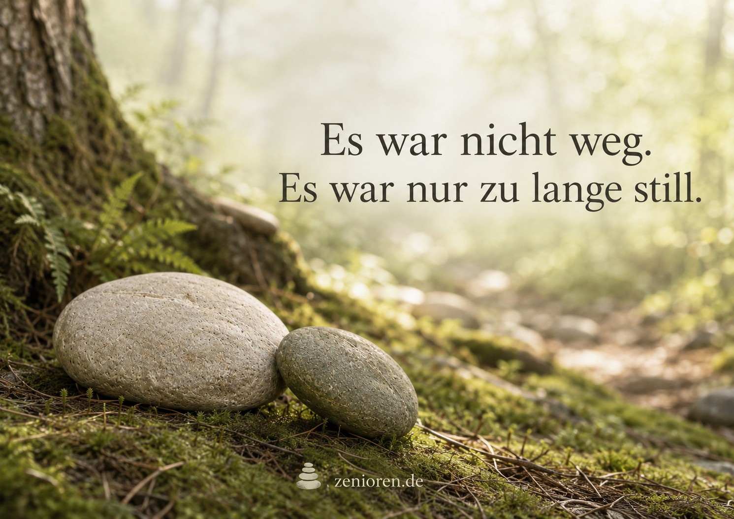Zwei naturbelassene Zenioren-Steine auf moosigem Waldboden im hellen Waldlicht. Blogbild zum stillen Impuls „Es war nicht weg. Es war nur zu lange still.“ als Symbol für innere Verbindung, leise Präsenz und das, was im Älterwerden wieder gehört werden darf.
